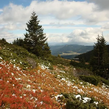 Penzión pre hostí U Hanky 3*