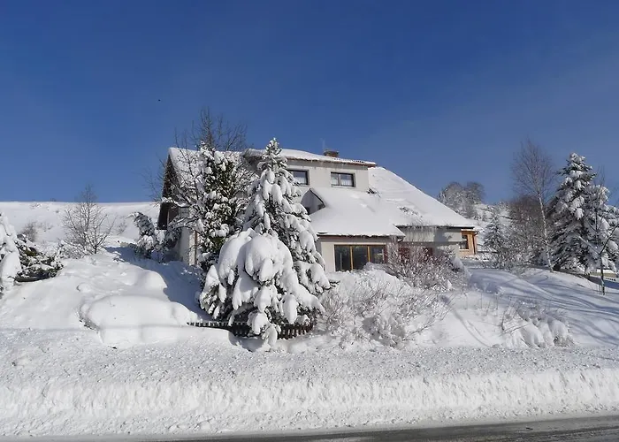 Maison d'hôtes U Hanky Telgárt